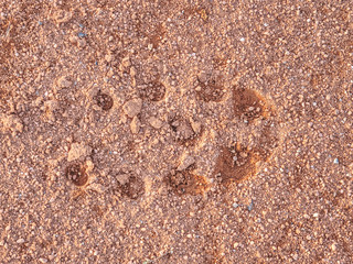 Sportsmans footprints on a tennis clay court.
