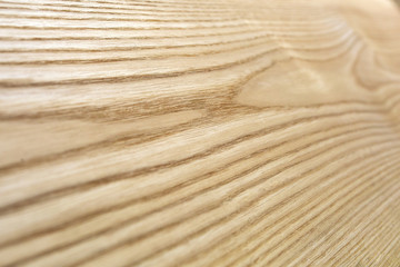 Fototapeta na wymiar wood texture ash