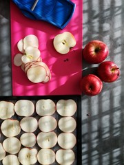 Dehydrating Sliced Granny Smith Apples