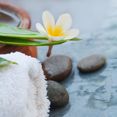 Tropical flower and spa objects for massage treatment on blue table background.