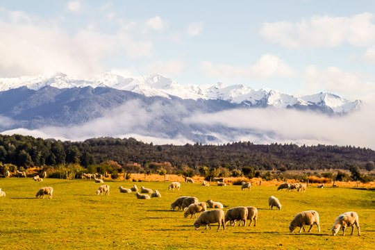Southern Alps New Zealand