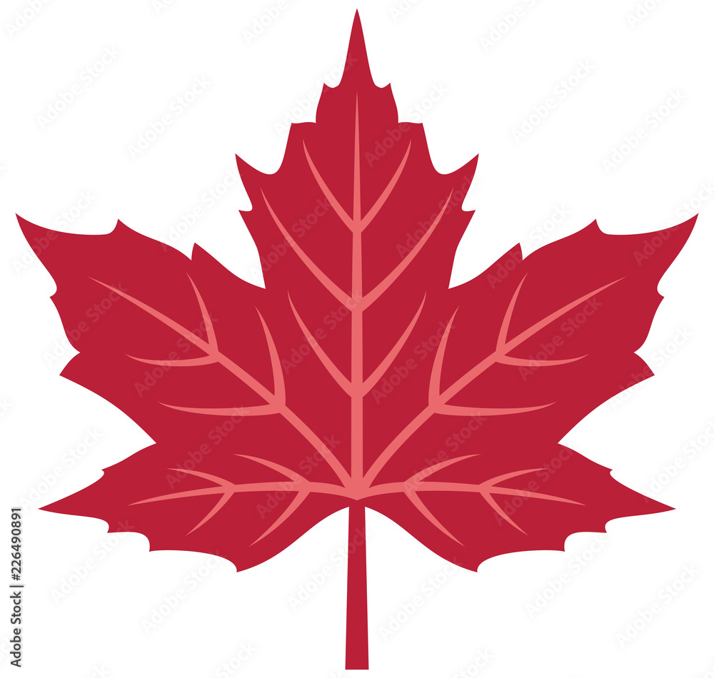 Wall mural red maple leaf vector illustration