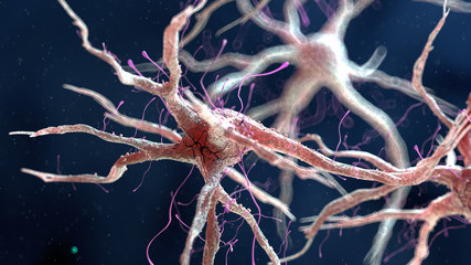 3d rendered medically accurate illustration of a human nerve cell