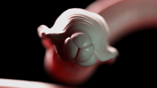 3d rendered medically accurate illustration of a roundworm