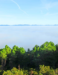 Niebla en el Parque Natural del Valle de Alcudia y Sierra Madrona, Castilla la Mancha, España 

