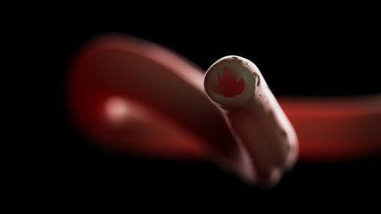 3d rendered medically accurate illustration of a hookworm