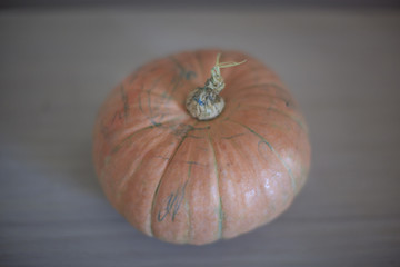  pumpkin