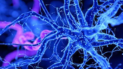 3d rendered medically accurate illustration of a nerve cell