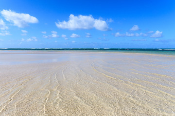 Karibik pur: Ferien, Tourismus, Sommer, Sonne, Strand, Auszeit, Meer, Glück, glitzernde Wasseroberfläche, Entspannung, Meditation: Traumurlaub an einem einsamen, karibischen Strand :)