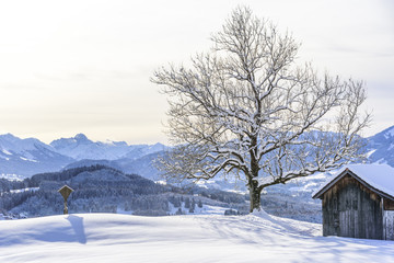 Feldkreuz und Heustadl im verschneiten Allgäu