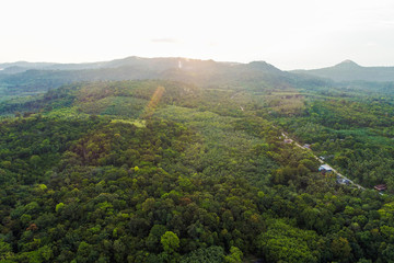 Fototapeta na wymiar Green tree tropicl rainforest on island aerial view in morning