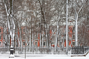 St. Petersburg in the winter day. Snow-covered trees in the city park on Rumyantsev Square at the University Embankment on Vasilyevsky Island