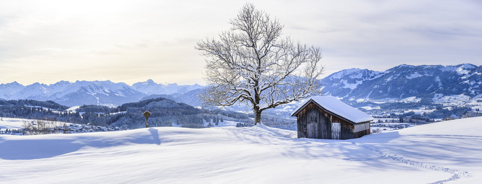 Winterpanorama im Oberallgäu