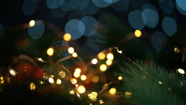 Man Placing Christmas Reindeer Glasses On Fir Branch. Beautiful Lights Bokeh Dolly Shot