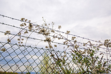 Natur erobert zurück