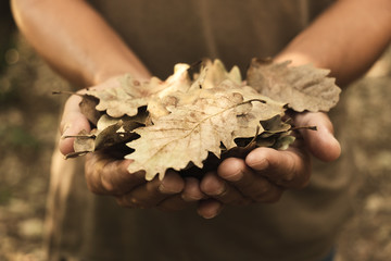 man with dry leaves in his hands