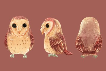 Cute owls character. 