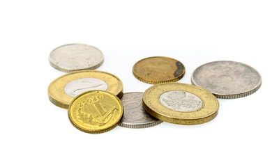 Different Polish Zloty and grosz coins isolated on white background.