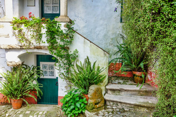 Fototapeta na wymiar Street view at medieval city of Obidos, Portugal
