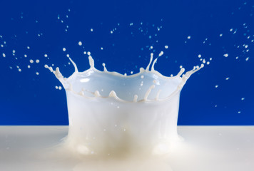 Beautiful splash of natural milk.