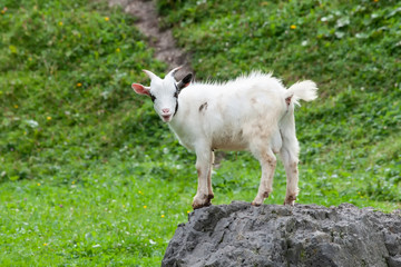 Obraz premium on the Top