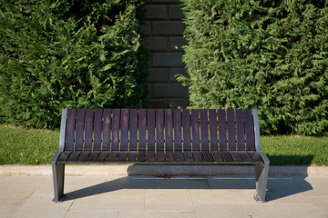 Wooden bench in the city park . Bench in the park among the trees . A wooden bench in the park, against a background of yellow fallen leaves lie on the ground in autumn.