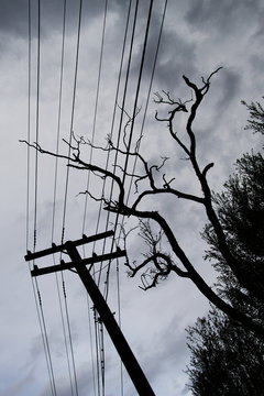 Powerlines against nature structures 