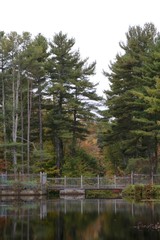 Fototapeta premium Fall Reflection II