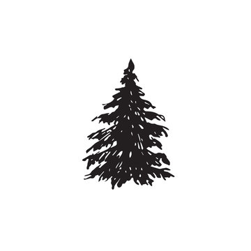 Pine tree silhouette, hand drawn doodle sketch, black and white vector illustration