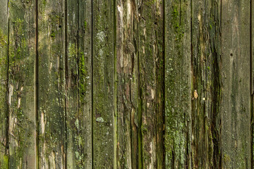 Old wood plank background, wooden boards texture