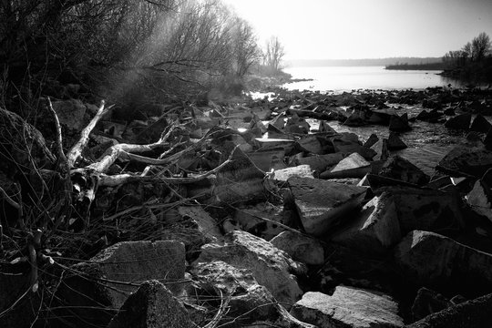Taming the river Danube