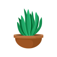 Flat vector icon of cactus with green leaves in brown ceramic pot. Small decorative houseplant. Indoor gardening theme