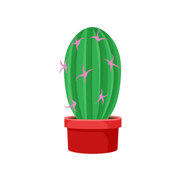 Flat vector icon of big green cactus with small pink flowers in bright red ceramic pot. Decorative houseplant