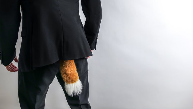 Sneaky Businessman In Black Suit With A Fox Tail.  Concept For Economic / White Collar Crime, Fraud And Black Market. White Background With Copy Space For Text.