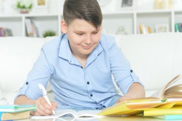 Portrait of a boy doing homework at home