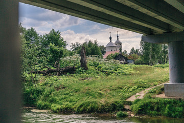 Cow parsnip or heracleum is a greatest ecology problem in the world.