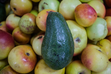 Aguacate