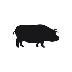 Pig black sihouette on the white background