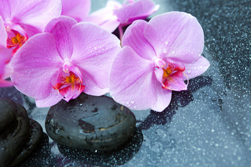 Naklejka na ściany i meble Pink orchids flowers and spa stones . Spa background.