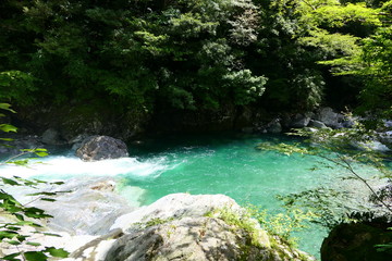 エメラルドグリーンの清流。仁淀川の上流域、安居渓谷。高知　日本。９月中旬。