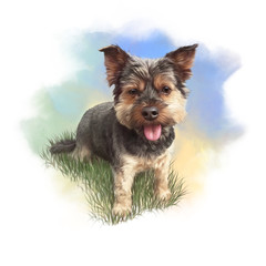 Cute small puppy sitting on the grass. Yorkshire Terrier is a mini dog. Watercolor hand drawn illustration. Animal collection. Good for print T-shirt, banner, cover, card. Art background for design.