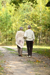 Portrait of old couple walking in autumn park