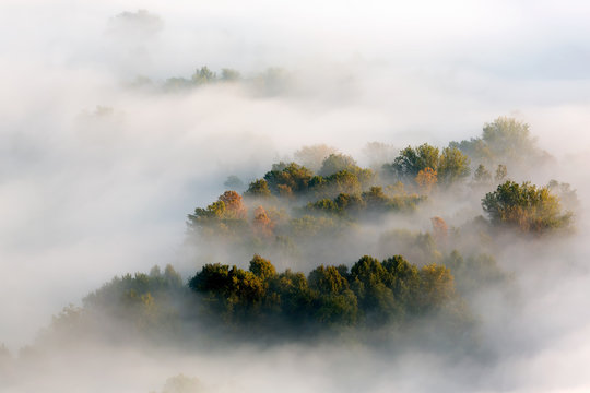 Nebbie autunnali sulla foresta, Italia