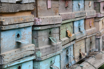 Old wooden hives.