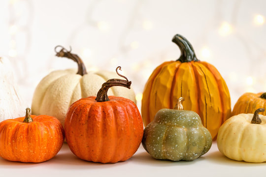 Collection of autumn pumpkins on a shiny light background
