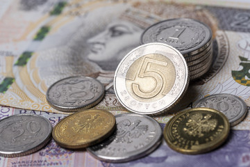 Polish zlotys 
