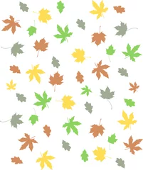 Poster achtergrond gekleurde herfst bladeren in rood geel blauw en groene kleuren © emieldelange