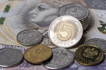 Polish zlotys 