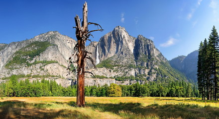 Yosemite Valley und Yosemite Fall mit abgestorbenen Baum, Yosemite National Park, Kalifornien, USA