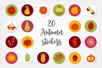 Autumn circle stickers with flower, apple, pear, pumpkin, leaves, hazelnut